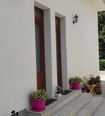 Stevan Sremac * Soko Banja