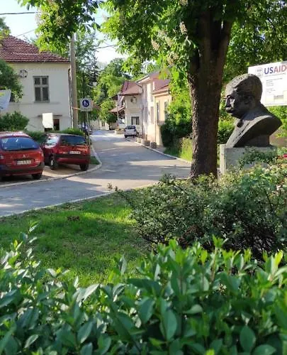 Stevan Sremac Soko Banja