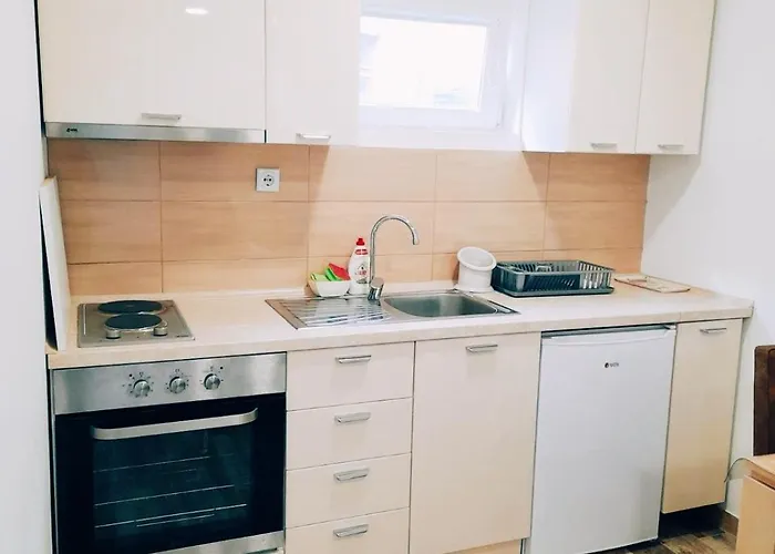 Appartamento Stevan Sremac Soko Banja